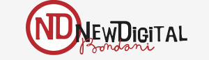 NewDigitalBondani logo